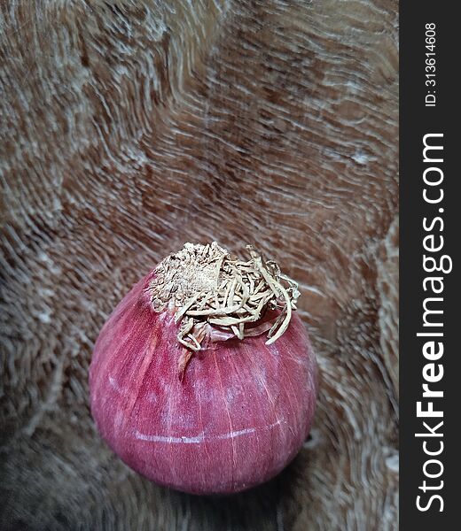 Onion close up detail, vegetable photo