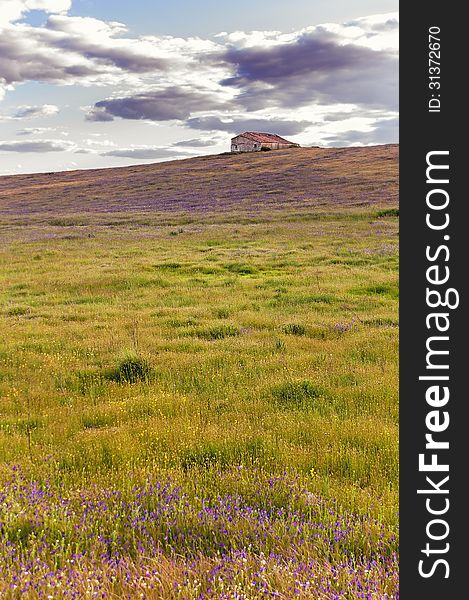 Cottage on the hill above a blanket of flowers and grass on a beautiful sunset. Cottage on the hill above a blanket of flowers and grass on a beautiful sunset