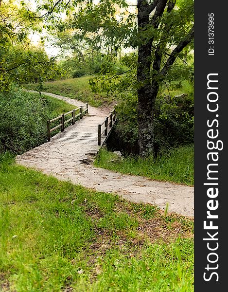 Stone path in the forest - Vertical