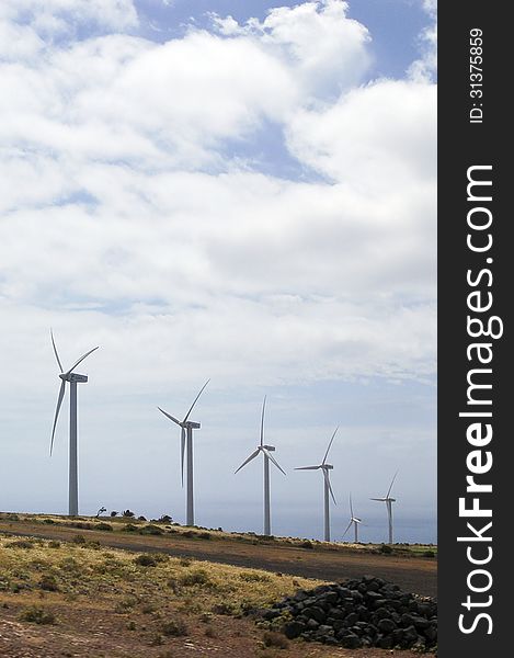 Wind Mills On Lanzarote