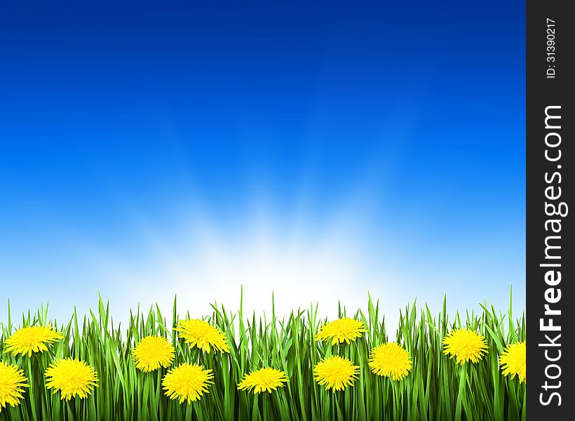 Green grass with beautiful flowers on a blue background. Green grass with beautiful flowers on a blue background