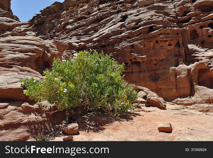 Egypt, the mountains of the Sinai desert, Colored Canyon