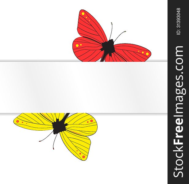Two Butterflies Under The White Paper Tab