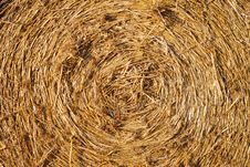 Round Bale Of Hay Royalty Free Stock Image Round Bale Of Hay Royalty Free Stock Image