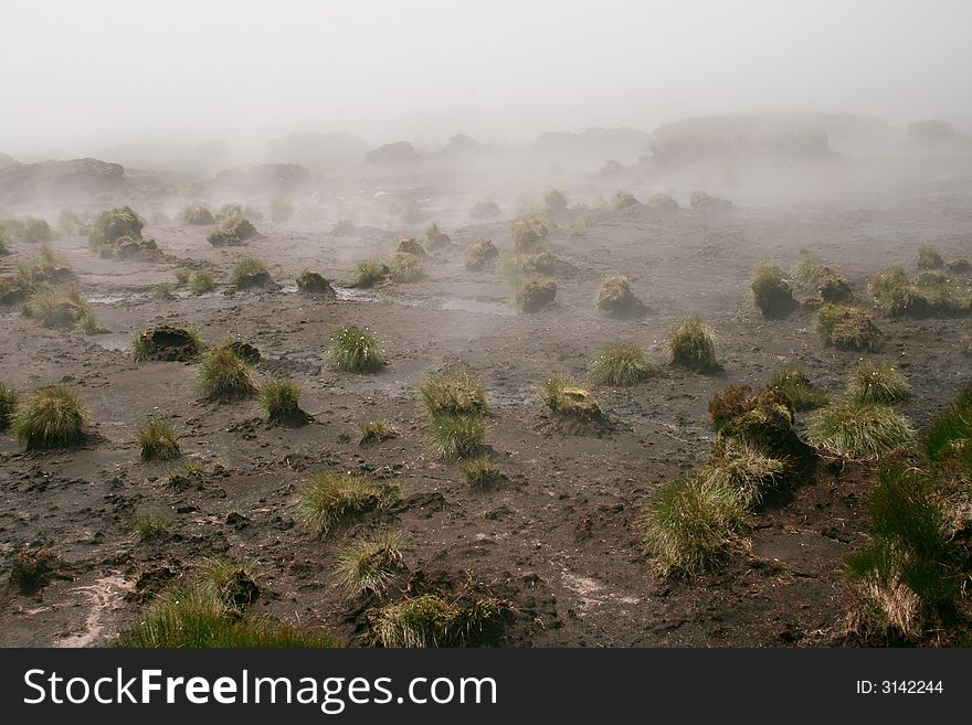 Humid fog over the meadow in a cold morning. Humid fog over the meadow in a cold morning