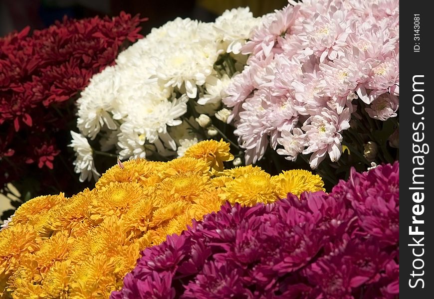 Colourful flowers at a market. Shallow depth of field with yellow and pink flowers in focus.