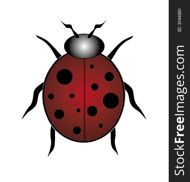 Illustration of single red and black spotted ladybug on white. Illustration of single red and black spotted ladybug on white