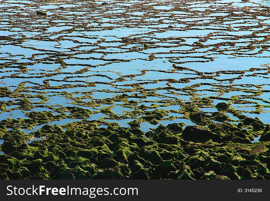 Natural detail soil in the low tide