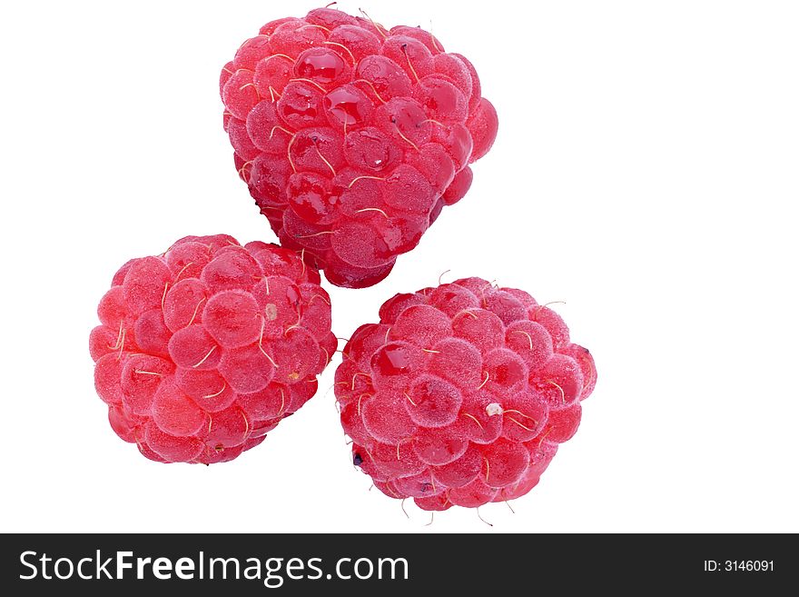 Three Raspberries On White