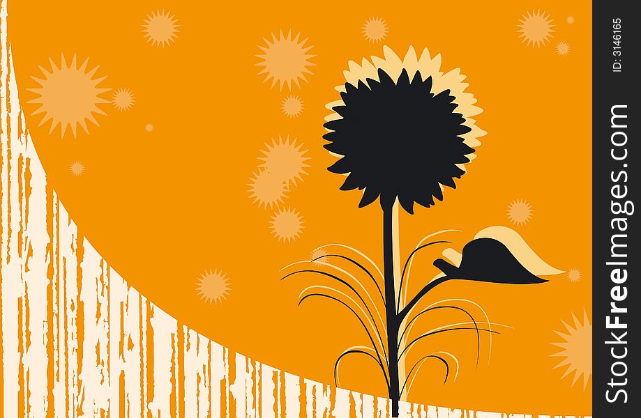 Orange background with shade of sunflower