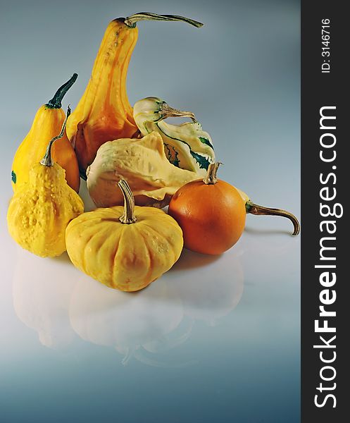 Autumn composition with different kinds pumpkin. Autumn composition with different kinds pumpkin