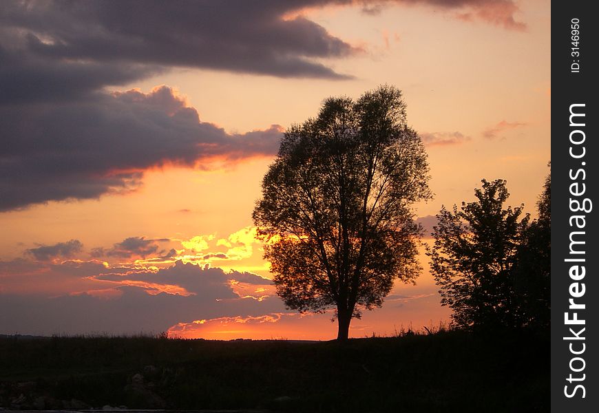 A wonderful sunset serves as a background for a tree. A wonderful sunset serves as a background for a tree.