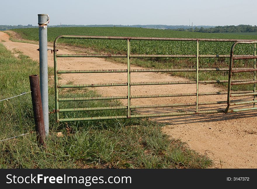 A dirt road on a rural soybean farm in the south. A dirt road on a rural soybean farm in the south