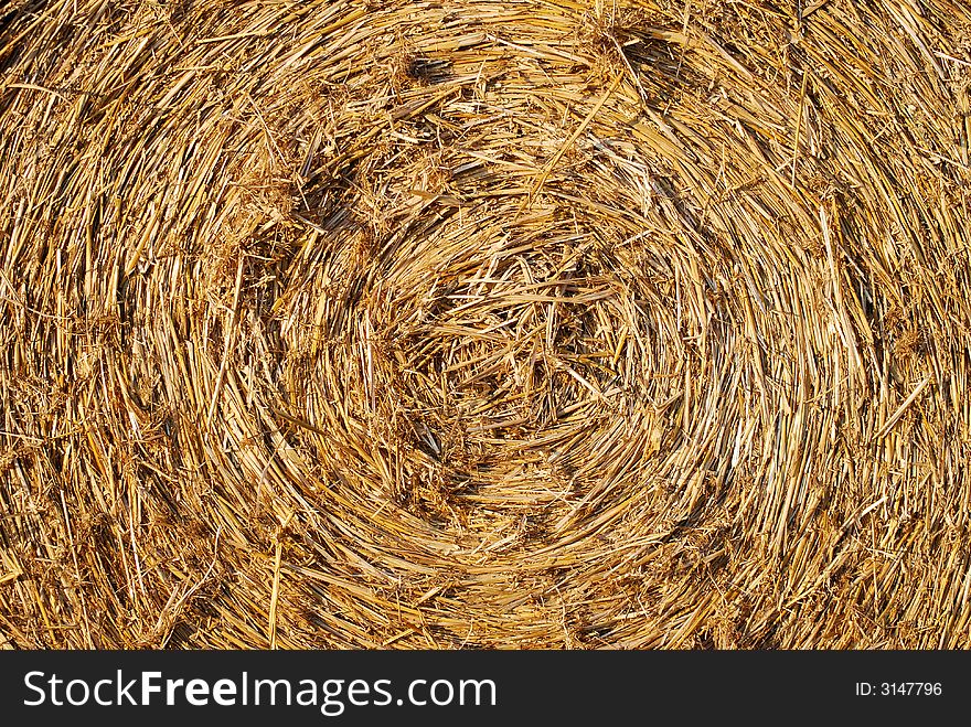 Close up of bale of hay center of spiral in center on pic. Close up of bale of hay center of spiral in center on pic