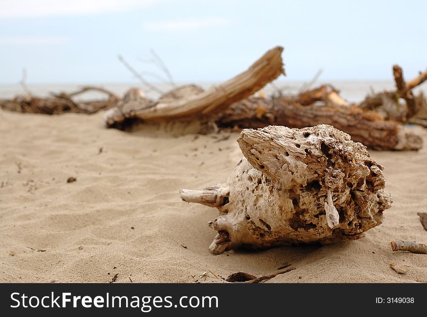 Wooden stump on tne sands. Wooden stump on tne sands