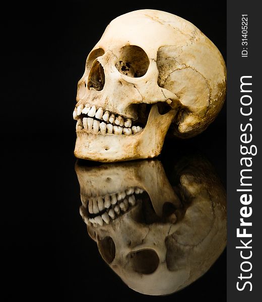 Human skull with mirror image  on black