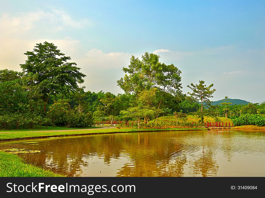 The image taken in china's yunnan province xishuangbanna prefectureï¼Œtropical botanical garden. The image taken in china's yunnan province xishuangbanna prefectureï¼Œtropical botanical garden.