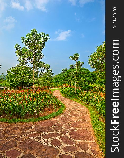 The image taken in china's yunnan province xishuangbanna prefecture，tropical botanical garden. The image taken in china's yunnan province xishuangbanna prefecture，tropical botanical garden.