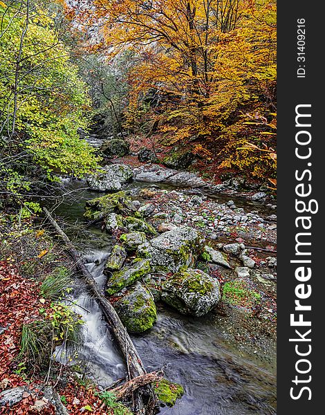 Autumn rocky landscape in the Rametului Gorges located in Apuseni Mountains, Transylvania,Romania.