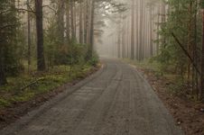 Forest Road. Royalty Free Stock Photos Forest Road. Royalty Free Stock Photos