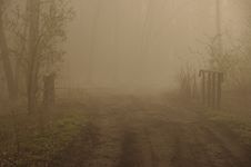 Foggy Morning. Royalty Free Stock Images