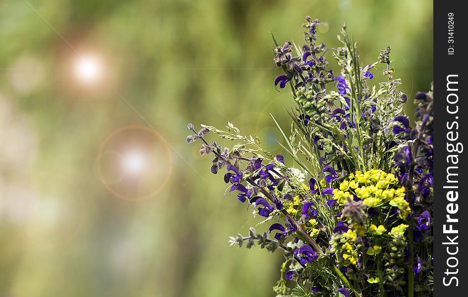 Spring flowers background in green, lilac and yellow colors. Spring flowers background in green, lilac and yellow colors
