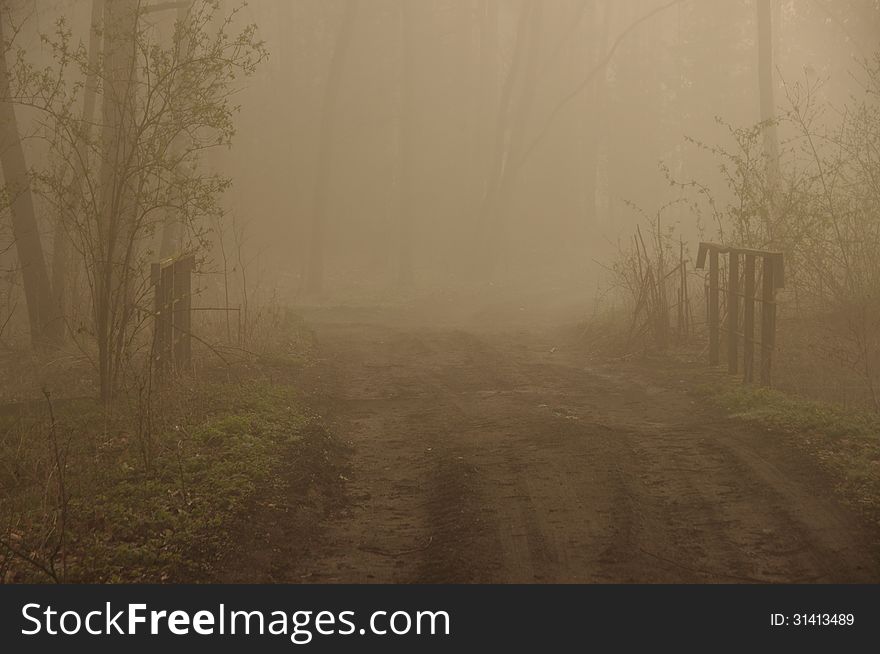 The photograph shows a foggy morning. Above the ground rises a thick layer of fog. In the fog you can see the forest road, bridge and metal railing in the background blurred outlines of leafless, naked trees.