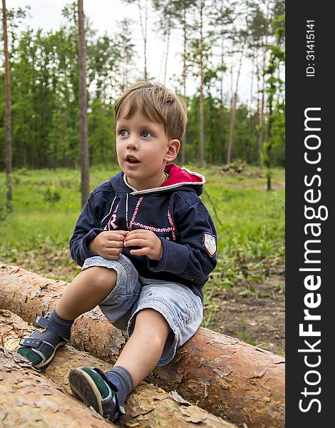 Cute three years boy in the forest on logs