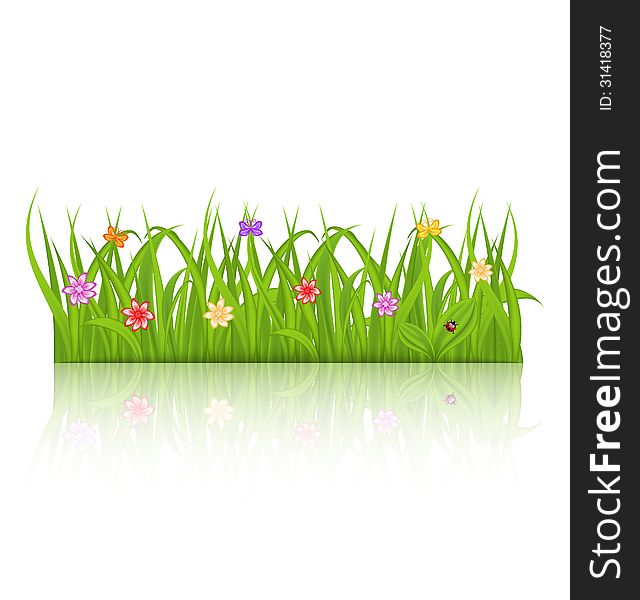 Illustration green grass with flower isolated on white background - vector