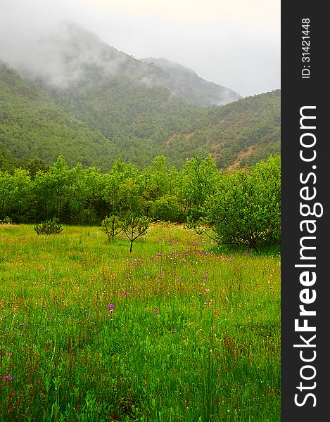 The image taken in china's yunnan province lijiang state,jade water village scenery spot. The image taken in china's yunnan province lijiang state,jade water village scenery spot.