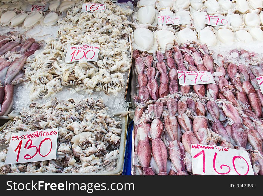 Fresh squid in the market for sale