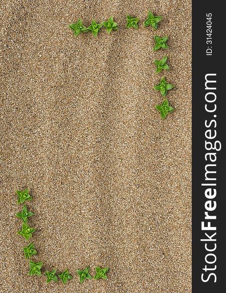 Summer background: border of green plants on the sand. Summer background: border of green plants on the sand
