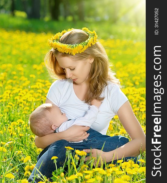 Breastfeeding. mother feeding her baby in nature green meadow with yellow flowers. Breastfeeding. mother feeding her baby in nature green meadow with yellow flowers