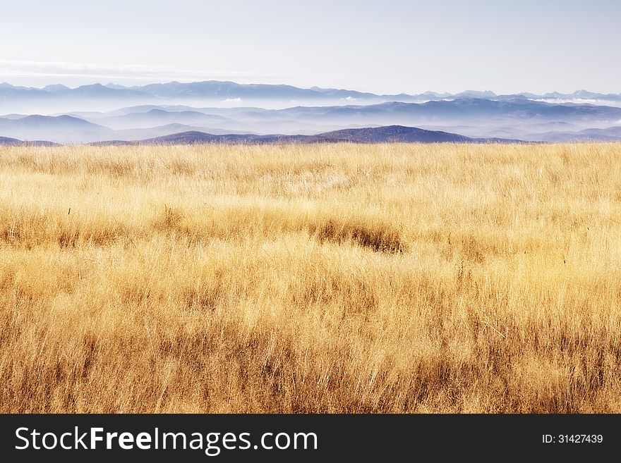 Scenery - Highland Grass