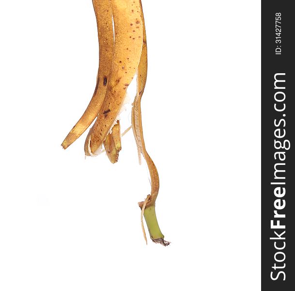 Banana peel is pendent