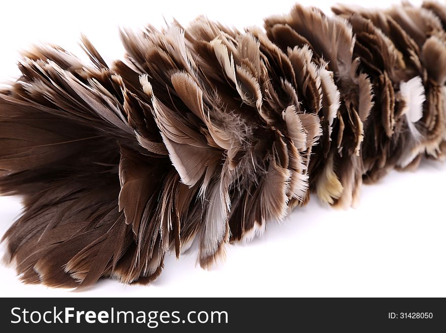 Brown feather duster on a white background