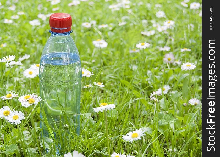 Bottle of drink still water on the grass