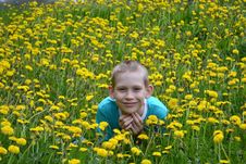The Boy On A Clearing From Dandelions Stock Photography The Boy On A Clearing From Dandelions Stock Photography