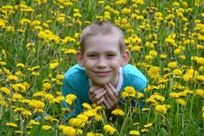 The Boy On A Clearing From Dandelions Royalty Free Stock Images