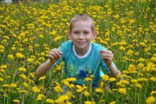 The Boy On A Clearing From Dandelions Royalty Free Stock Images The Boy On A Clearing From Dandelions Royalty Free Stock Images