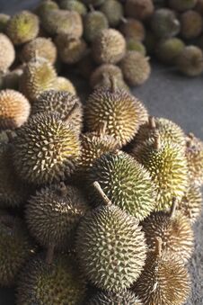 Durian Fruit, King Of Fruit Stock Photography Durian Fruit, King Of Fruit Stock Photography