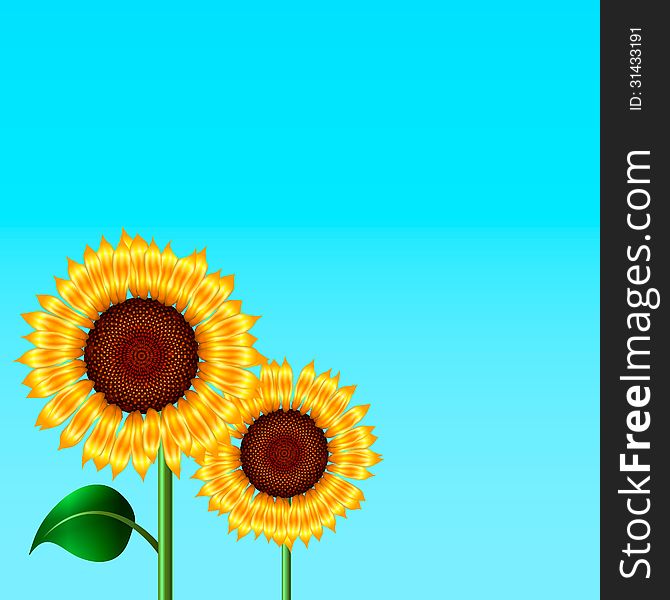 Blue background illustration with two sunflowers. Blue background illustration with two sunflowers