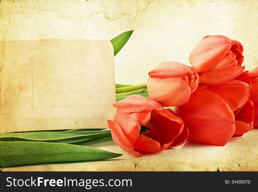 Close up on pink tulips on grunge background with message card. Close up on pink tulips on grunge background with message card