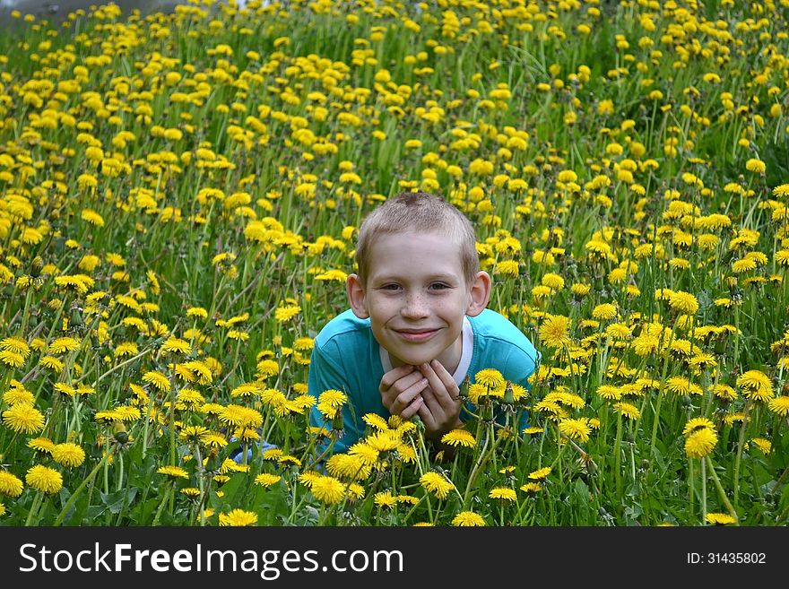 The boy on a clearing from dandelions