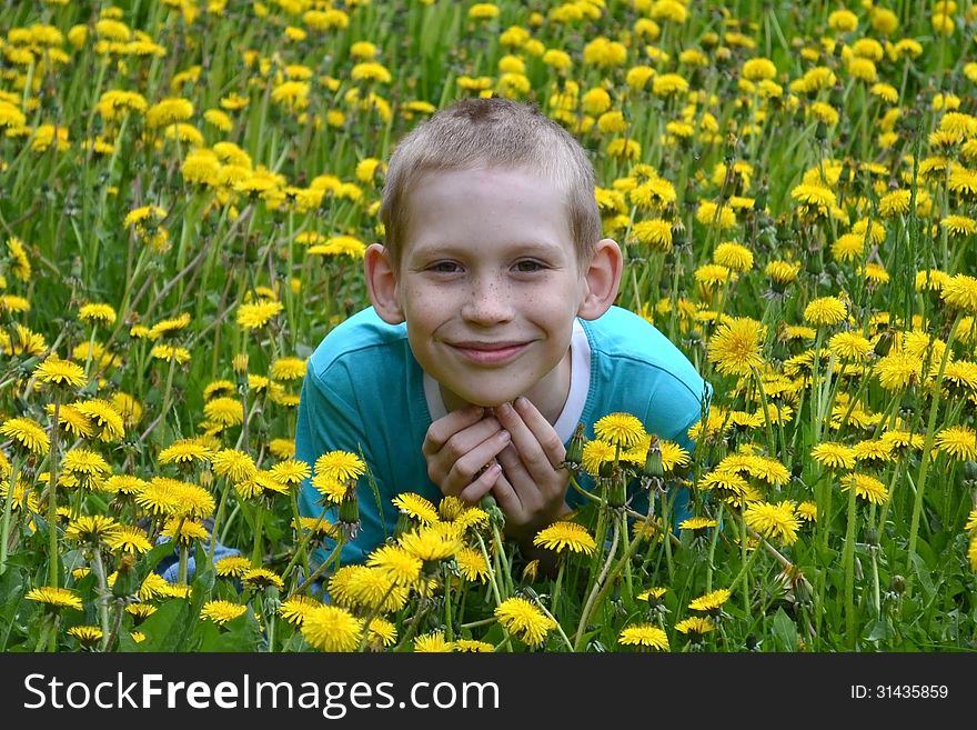 The Boy On A Clearing From Dandelions