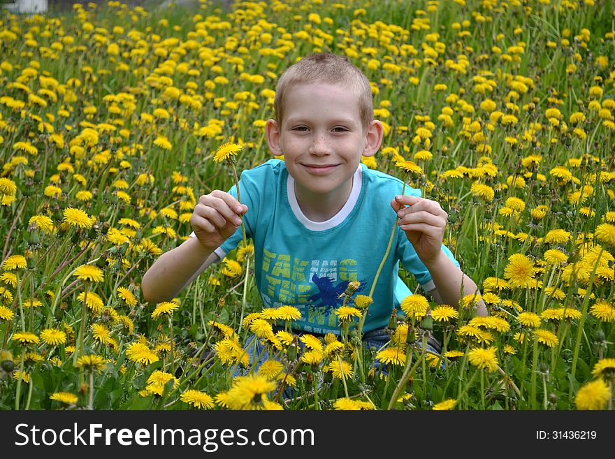 The boy on a clearing from dandelions