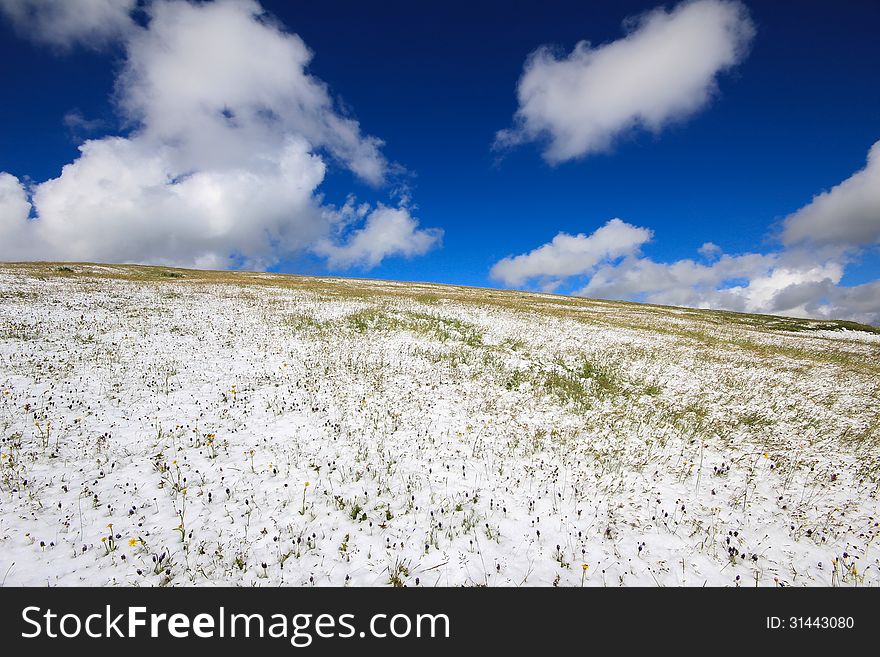 Fresh fallen snow in the italian appennino with blue sky. Fresh fallen snow in the italian appennino with blue sky.