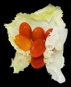 Cabbage Leaf With Ripe Tomatoes Stock Photos