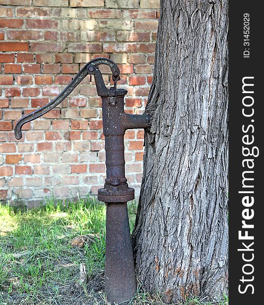 An old water pump growing into a trunk of tree. An old water pump growing into a trunk of tree