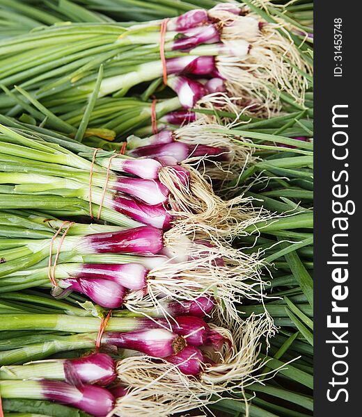 Bunches of fresh spring green onions for sale at a local farmer's market